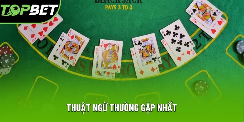 Thuật ngữ thường gặp nhất