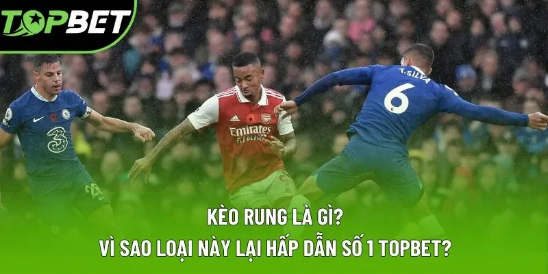 Kèo Rung Là Gì? Vì Sao Loại Này Lại Hấp Dẫn Số 1 Topbet?