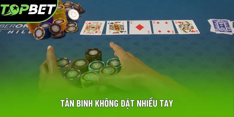 Tân binh không đặt nhiều tay Tân binh không đặt nhiều tay