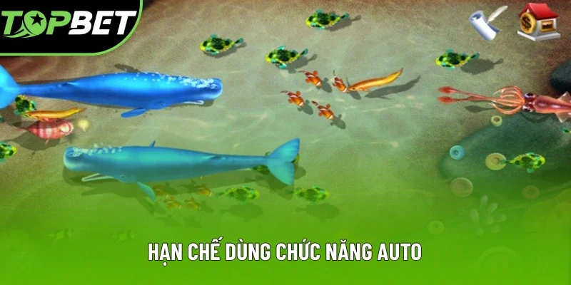 Hạn chế dùng chức năng auto Hạn chế dùng chức năng auto